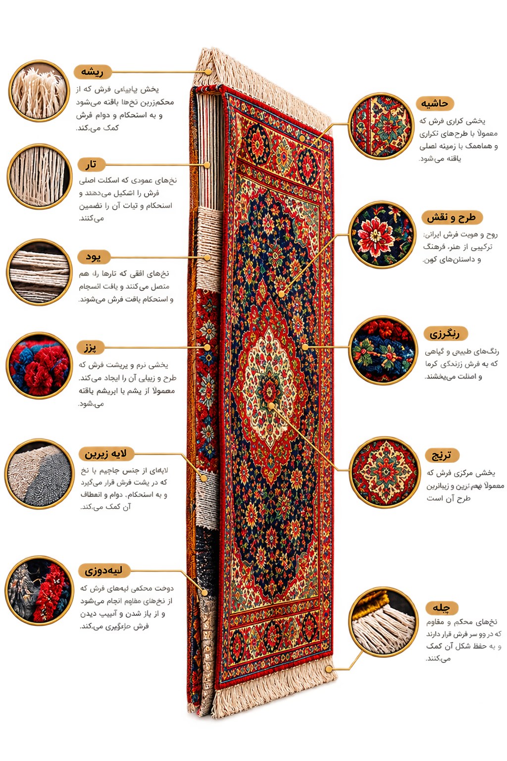 آناتومی فرش ایرانی